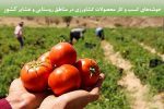 خوشه های کسب و کار محصولات کشاورزی