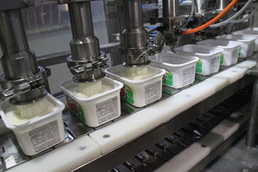 احداث کارخانه تولید پنیر سفید ایرانی