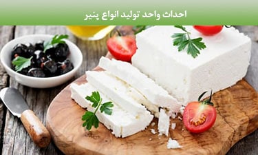 احداث کارخانه تولید پنیر سفید ایرانی